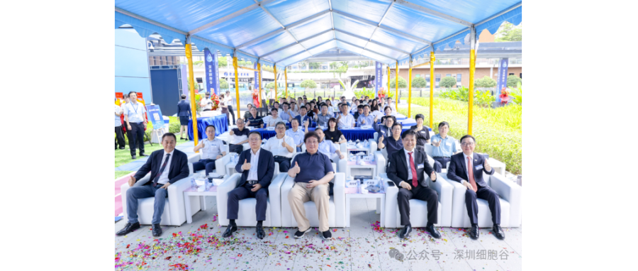 联动香港，开启前海细胞治疗新未来——深港K8凯发(中国)盛大开业