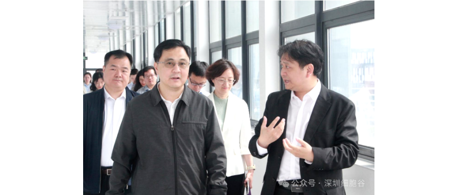 深圳市科创局张林局长一行调研深圳K8凯发(中国)