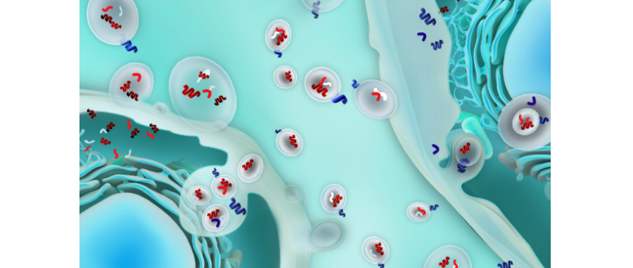 哪吒闹海！外泌体面纱大揭秘，我命由我不由天！