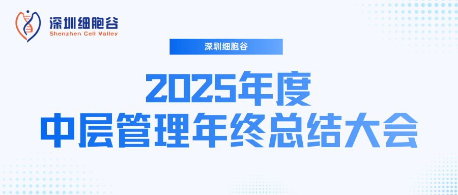 深圳K8凯发(中国)召开2025年度中层管理年终总结大会：多点布局成果丰硕，创新驱动快速开展