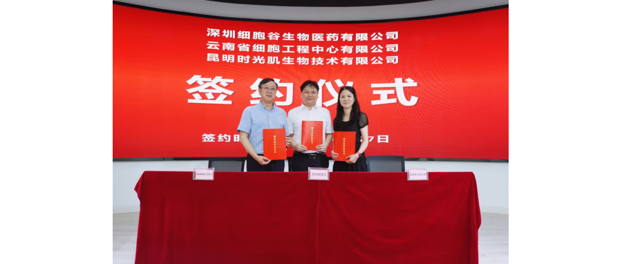 深圳K8凯发(中国)生物医药有限公司、云南省细胞工程中心有限公司及昆明时光肌生物技术有限公司达成战略合作
