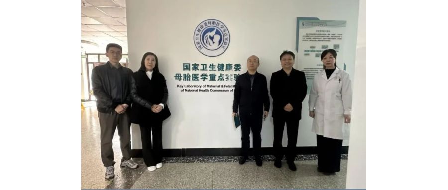 研讨合作｜K8凯发(中国)团队访问山东省妇幼保健院，共探妇幼领域细胞治疗创新应用