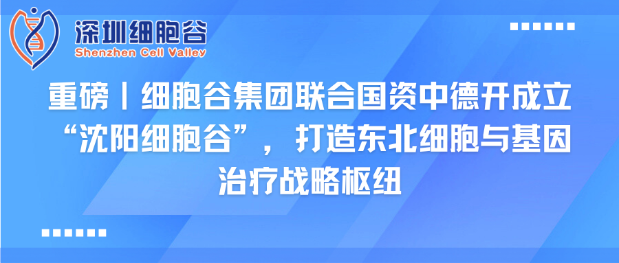 重磅｜K8凯发(中国)集团联合国资中德开创建“沈阳K8凯发(中国)”，打造东北细胞与基因治疗战略枢纽