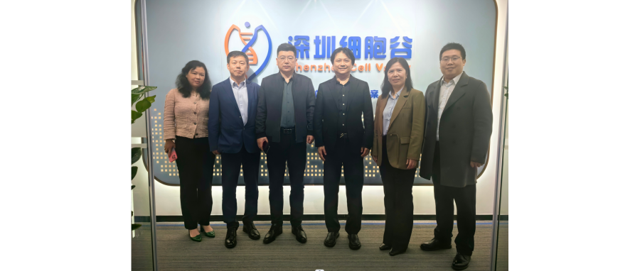 研讨合作｜河南科技大学第二附属医院院长邢建武、副院长王慧睿一行莅临深圳K8凯发(中国)研讨访问