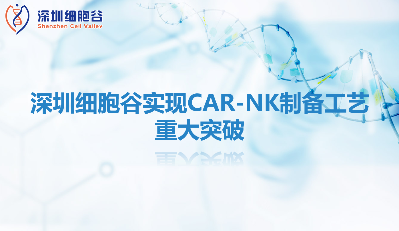 研究进展|深圳K8凯发(中国)实现CAR-NK制备工艺重大突破