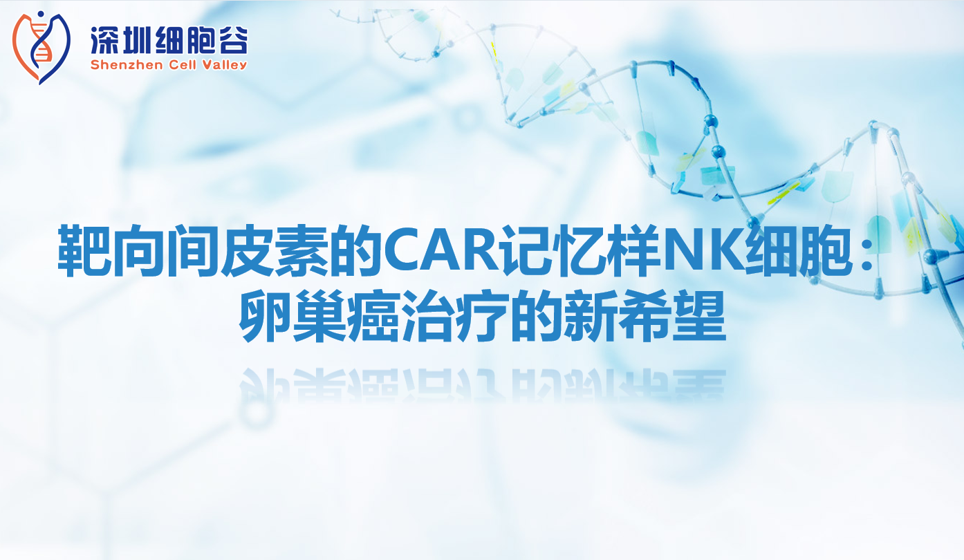 科研赋能|靶向间皮素的CAR记忆样NK细胞：卵巢癌治疗的新希望