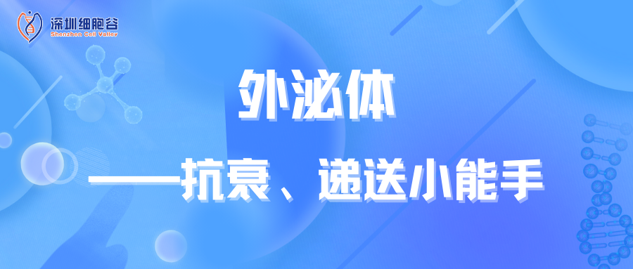 知识科普|外泌体——抗衰、递送小能手