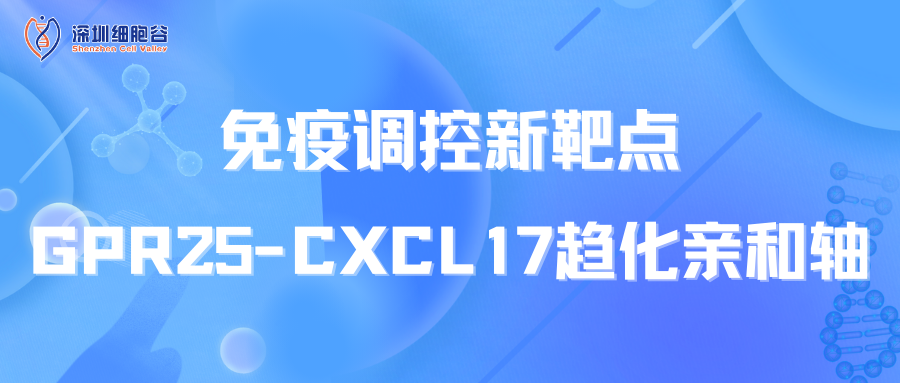 文献分享|免疫调控新靶点：GPR25-CXCL17趋化亲和轴