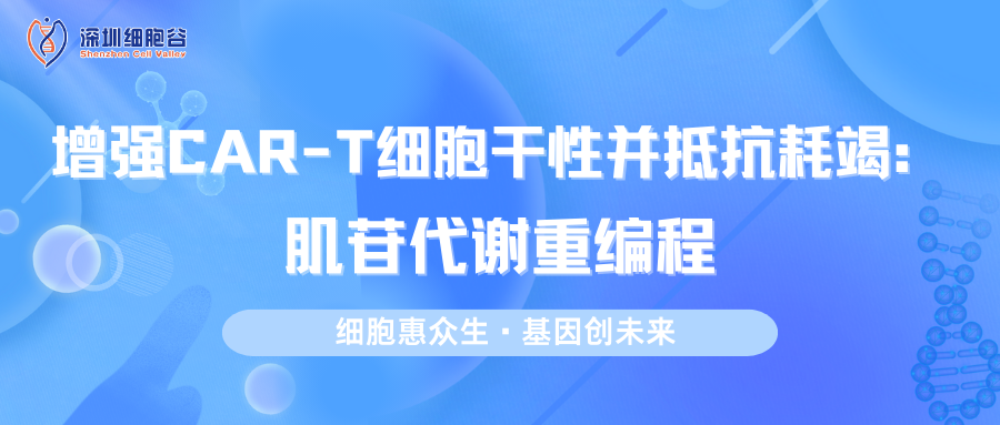 文献分享|增强CAR-T细胞干性并抵抗耗竭：肌苷代谢重编程