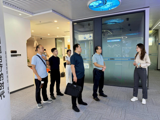 Delegation from Shijiazhuang Investment Promotion Bureau Visits Shenzhen-Hong Kong Cell Valley
